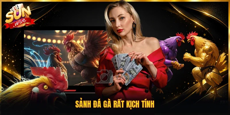 Sunwin rpsoftech.in ⭐️ Tải Sunwin iOS/APK Cổng Game Bài Top 1 23 Sunwin Sảnh đá gà rất kịch tính